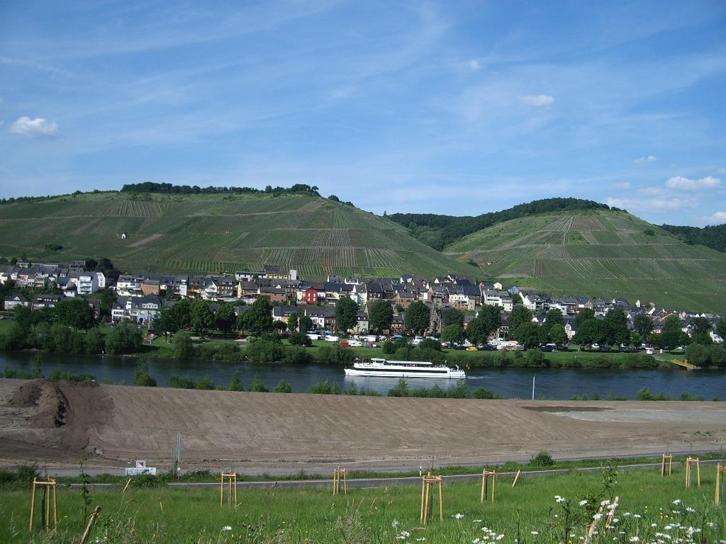 Gaestehaus Resi Hotel Zeltingen-Rachtig Kültér fotó