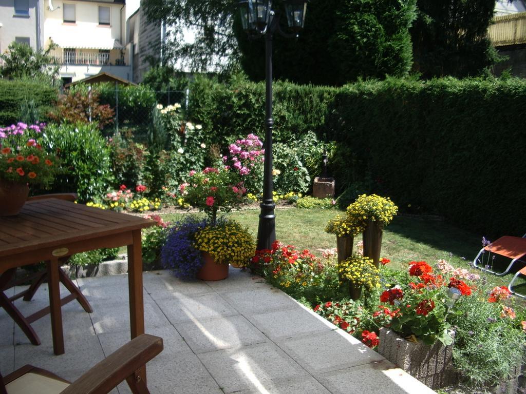Gaestehaus Resi Hotel Zeltingen-Rachtig Kültér fotó